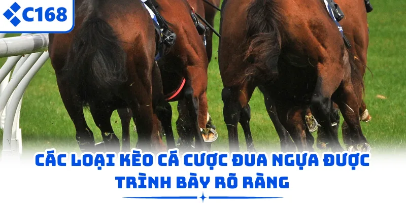 Các loại kèo cá cược đua ngựa được trình bày rõ ràng